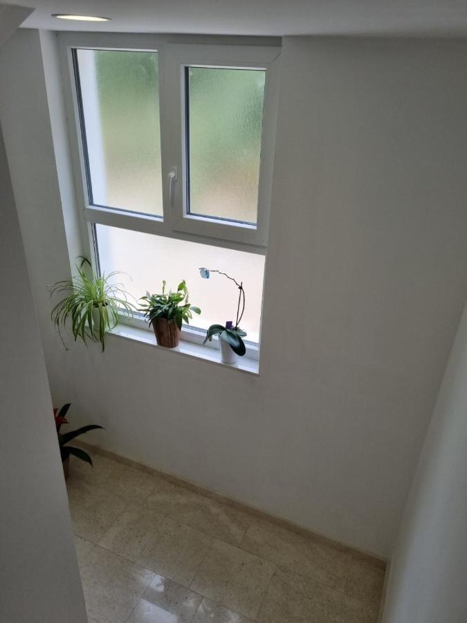 Apartmani Tolj ماكارسكا المظهر الخارجي الصورة