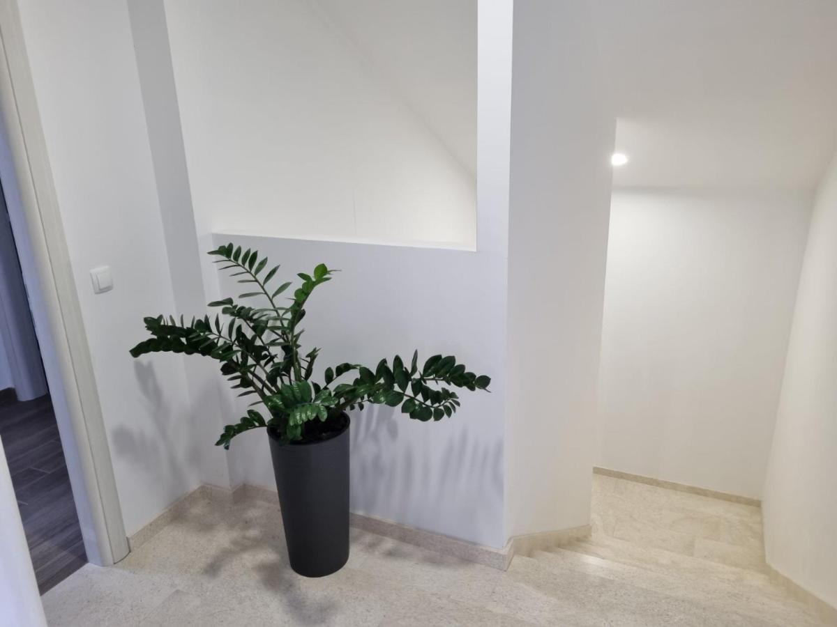 Apartmani Tolj ماكارسكا المظهر الخارجي الصورة