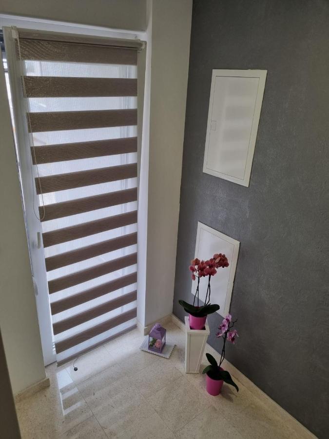 Apartmani Tolj ماكارسكا المظهر الخارجي الصورة