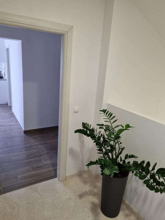 Apartmani Tolj ماكارسكا المظهر الخارجي الصورة